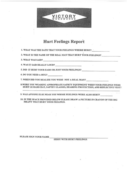 Hurt feelings report